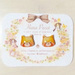 アライグマピアス/イヤリング