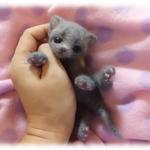 おねがいにゃんこＮｏ．11