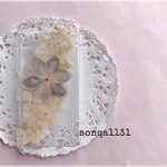 ♥saeco28様オーダー♥ 押し花ケース