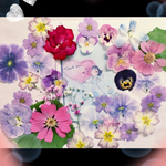 押し花素材