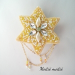 Twinkle Star☆*。two-wayブローチ・ヘアアクセ.｡*ﾟ+.*.｡