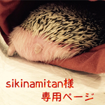 sikinamitan様専用ページ