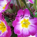 N 様オーダー品