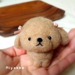 ベルベットりぼんのトイプードル🎀 ベージュ