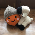 大人のどんぐりぼうし