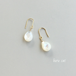sizuku shell   〔ピアス/イヤリング〕送料無料