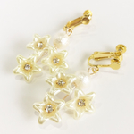 ☆☆☆naoringogo様専用☆☆☆