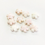 コンクシェル10pieces
