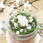 『魔法の庭〜永遠桜（とわざくら）〜』ローズクォーツと桜のソルトポプリベース