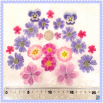 押し花素材＊ミックス②