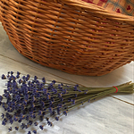 有機栽培のラベンダー50本