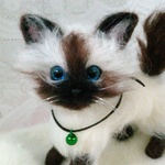 シャム猫ちやん