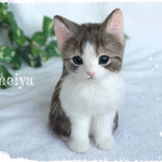 可愛い子猫　キジ白限定　tamuchirou様リクエスト品