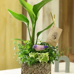 marukodaisuk様オーダー品