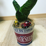 観葉植物♡