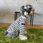 dog-ML＊長袖ボーダーTシャツ