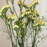 20100309様専用ページ