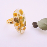 ミモザの指輪②