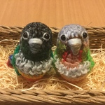 peykameさま♡専用注文ページ:お胸が可愛い♡ウロコインコちゃん（中型インコ）