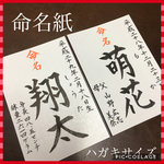 命名紙 ハガキサイズ