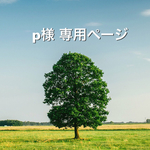 p様 専用ページ