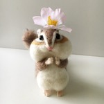 食いしん坊なおねだりすちゃん❀