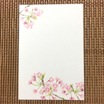 季節のはがき 選べる5枚セット 【春3 大山桜】