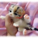 おねがいにゃんこＮｏ．13