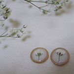 キラキラかすみ草ピアス＊ドライフラワー＊レジン