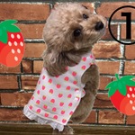 暖かぱっちん♪いちごレース生成り①
