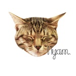 ねこシール（キジ②）