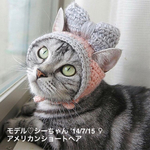 【再販11】猫の帽子  シーちゃんのリボン帽子🎀