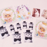 写真全部セット★猫綿100％生地★ハンドメイド素材1