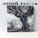 HARUNA様専用ページ