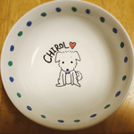 犬用フードボウル