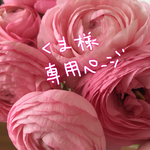 くま様専用ページ