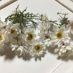 送料無料〜再々販〜花かんざしドライフラワー