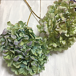 紫陽花ドライフラワー枝付き