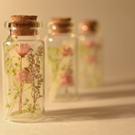 再販 小さな花と香りの物語