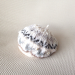ご注文品  鳥と花のベレー帽