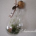 [SALE]電球型ボトルのグリーンアレンジ