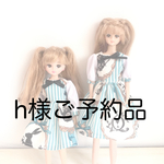 h様ご予約品セット
