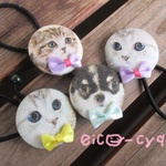 ネコ時々…チワワ☆ヘアゴム〔送料無料〕