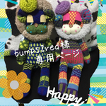 bumps2red様専用ページ