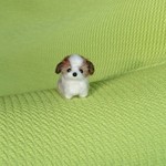 シーズー パピー ゴールド＆ホワイト 羊毛フェルト