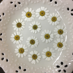 マトリカリア(押し花)
