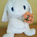 ゆめかわ*白うさぎ【送料無料*】