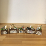 海シリーズ『手のひらサイズ』