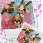 aya様 うさぎちゃんとわんこ羊毛フエルトストラップ