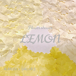 たっぷり200枚！1枚ずつ手折りのFlower shower LEMON(イエロー系)